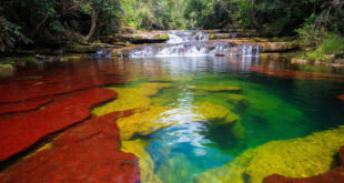 Каньо-Кристалес: радужная река Колумбии