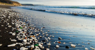 Стеклянный пляж: волшебное место, где мусор превратился в искусство