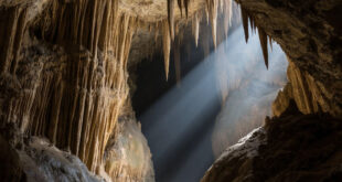 Пещеры Вайтомо: волшебное царство светлячков в Новой Зеландии